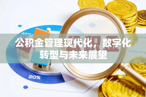 绥江公积金管理现代化，数字化转型与未来展望