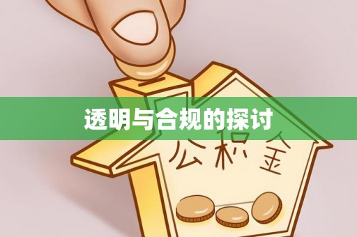 绥江透明与合规的探讨