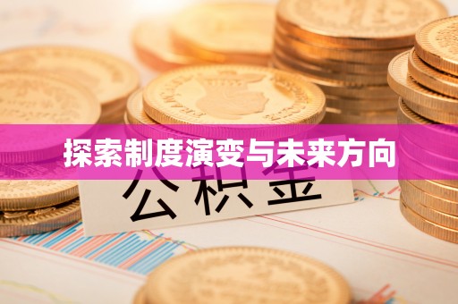 绥江探索制度演变与未来方向