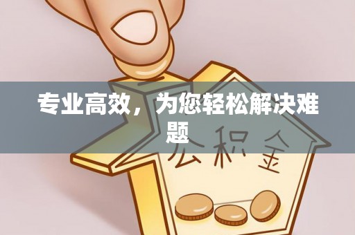 绥江专业高效，为您轻松解决难题