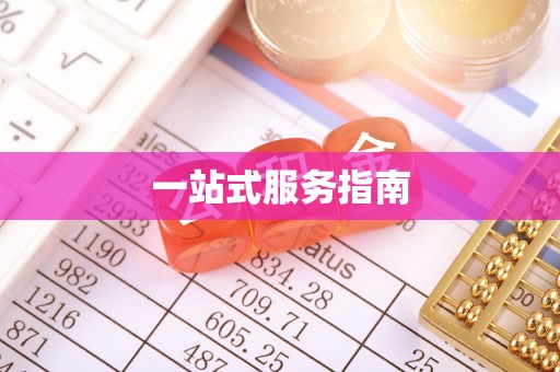 绥江一站式服务指南