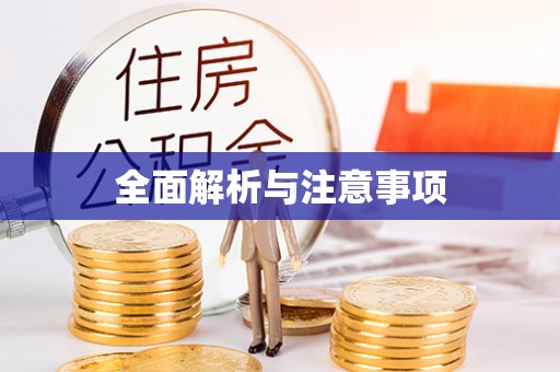 绥江全面解析与注意事项