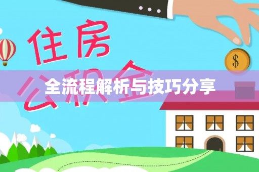 绥江全流程解析与技巧分享